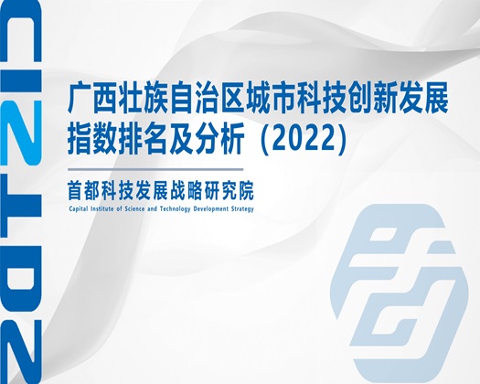 免费观看草逼网站【成果发布】广西壮族自治区城市科技创新发展指数排名及分析（2022）